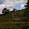 Siete Picos
